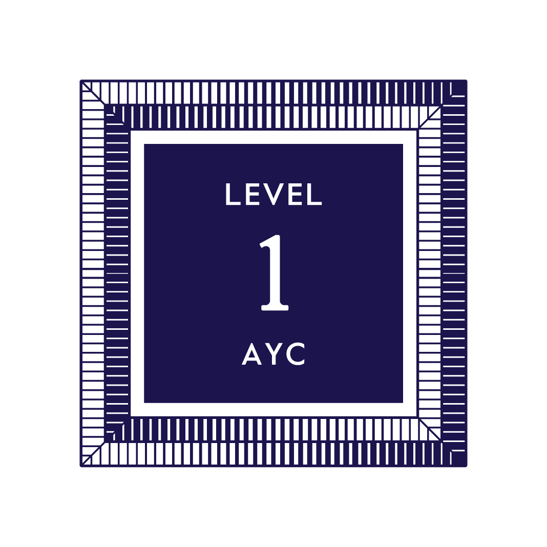 Level 1 Program