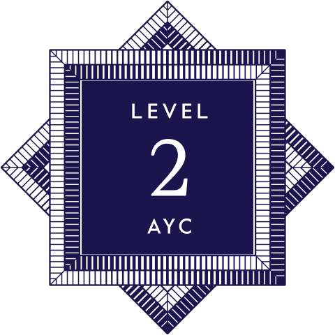 Level 2 Program