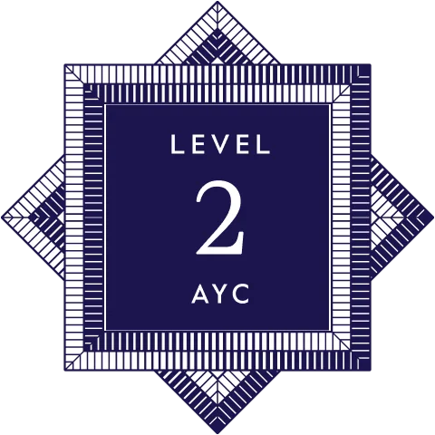 Level 2 Program