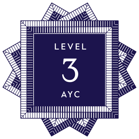 Level 3 Program