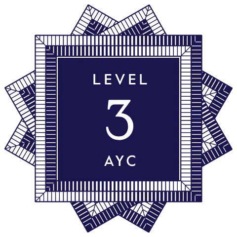 Level 3 Program
